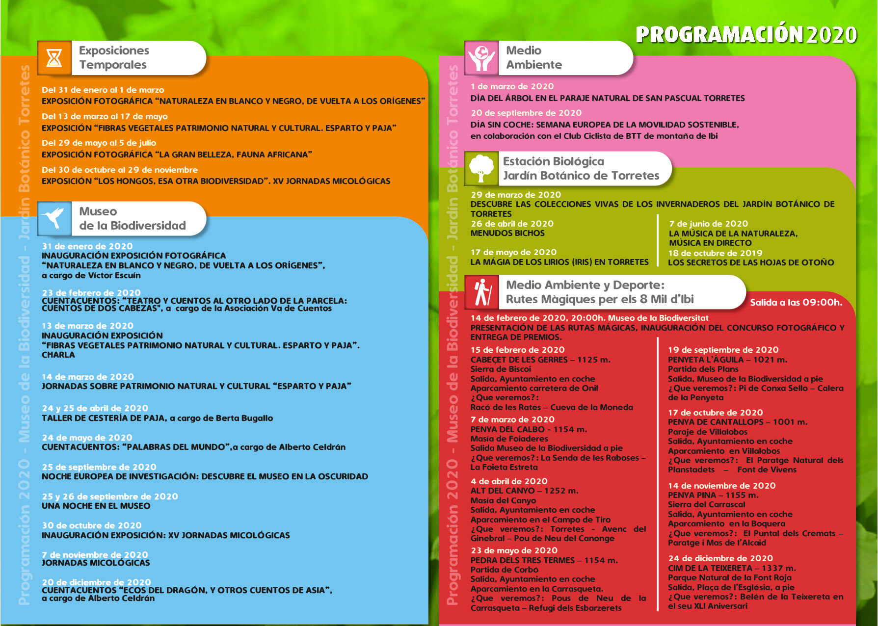 PROGRAMACIÓN 2020
