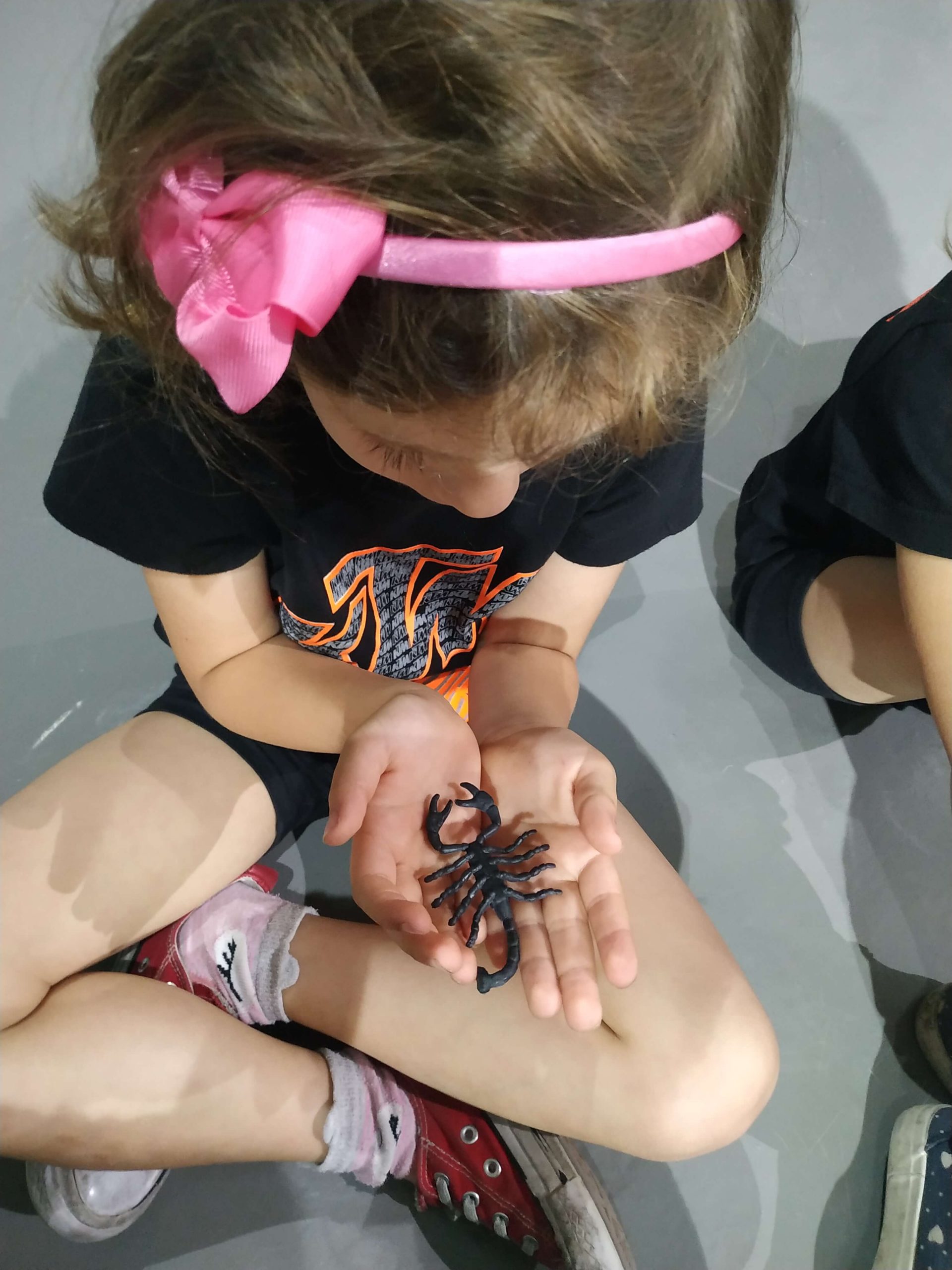 IMG_20190610_103132