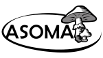Logo asoma