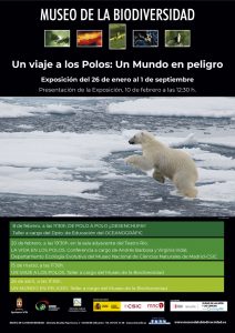 Un viaje a los polos