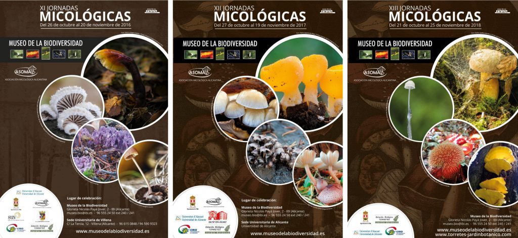 carteles micologicos