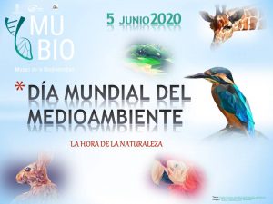 DIA INTERNACIONAL DEL MEDIO AMBIENTE