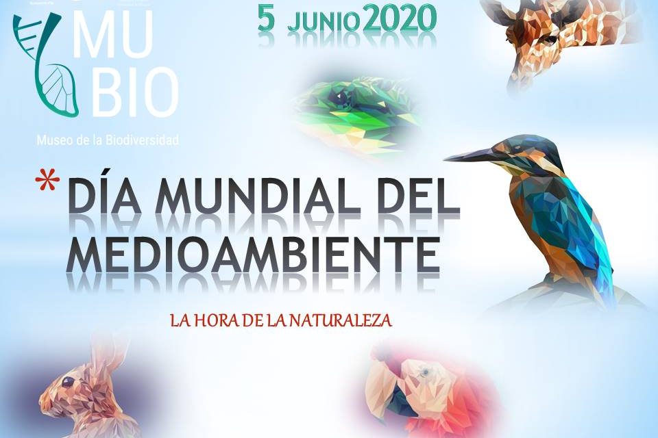 DIA INTERNACIONAL DEL MEDIO AMBIENTE