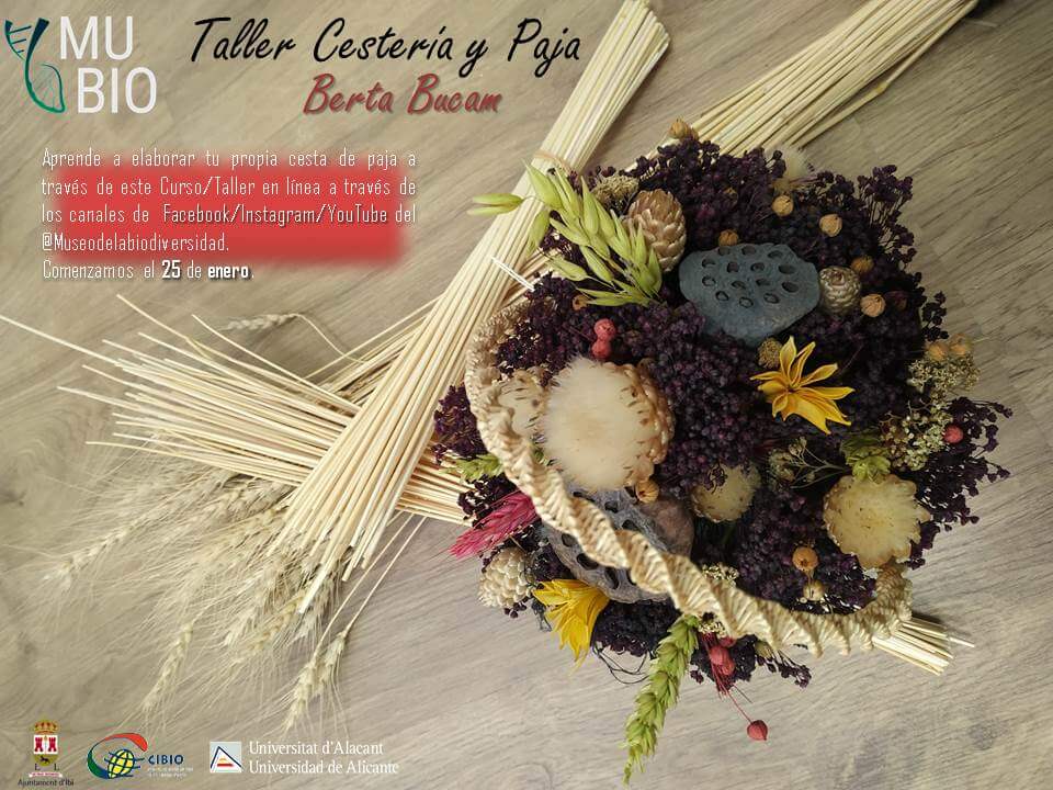 Taller online fibras vegetales