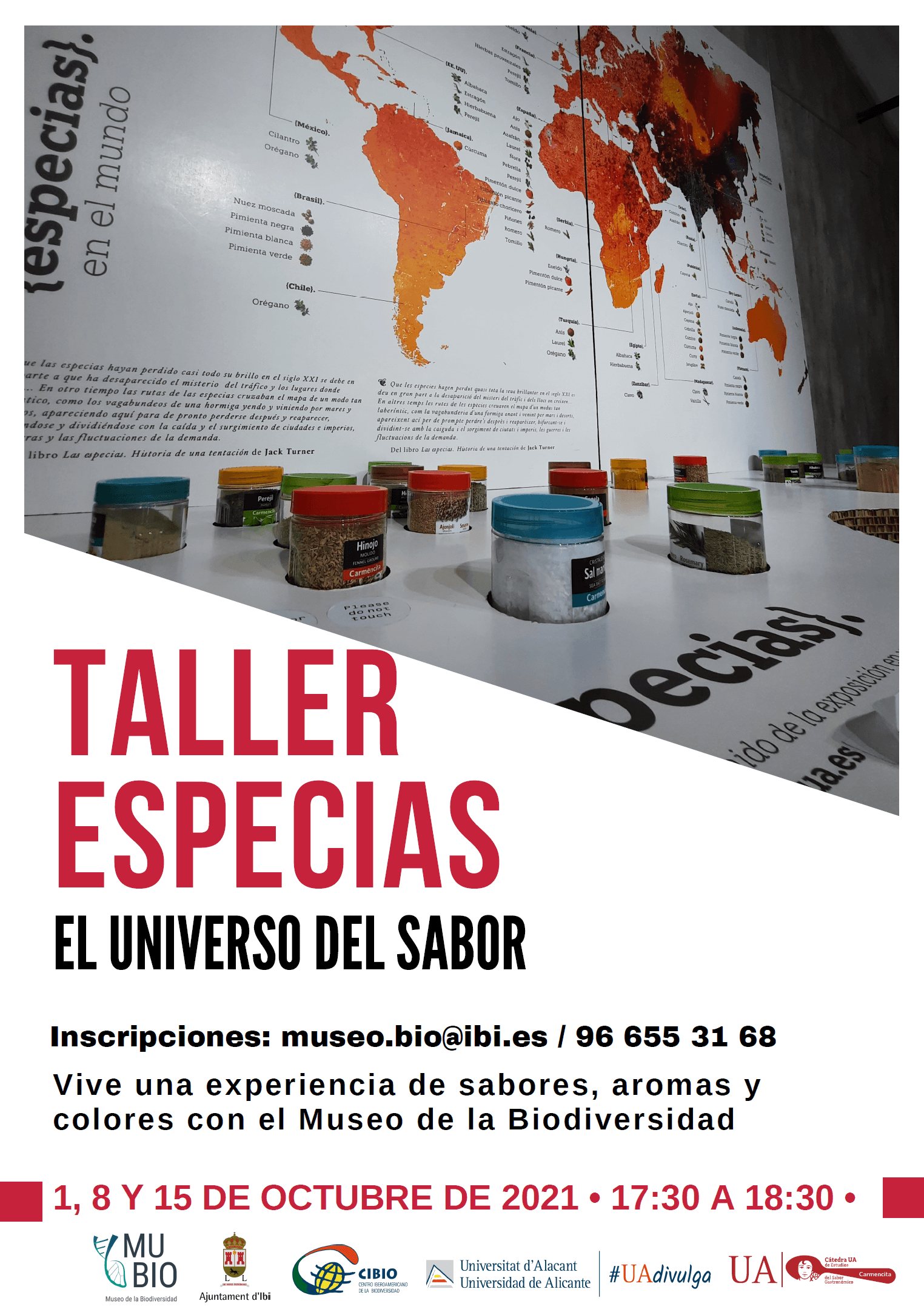Taller especias en Ibi
