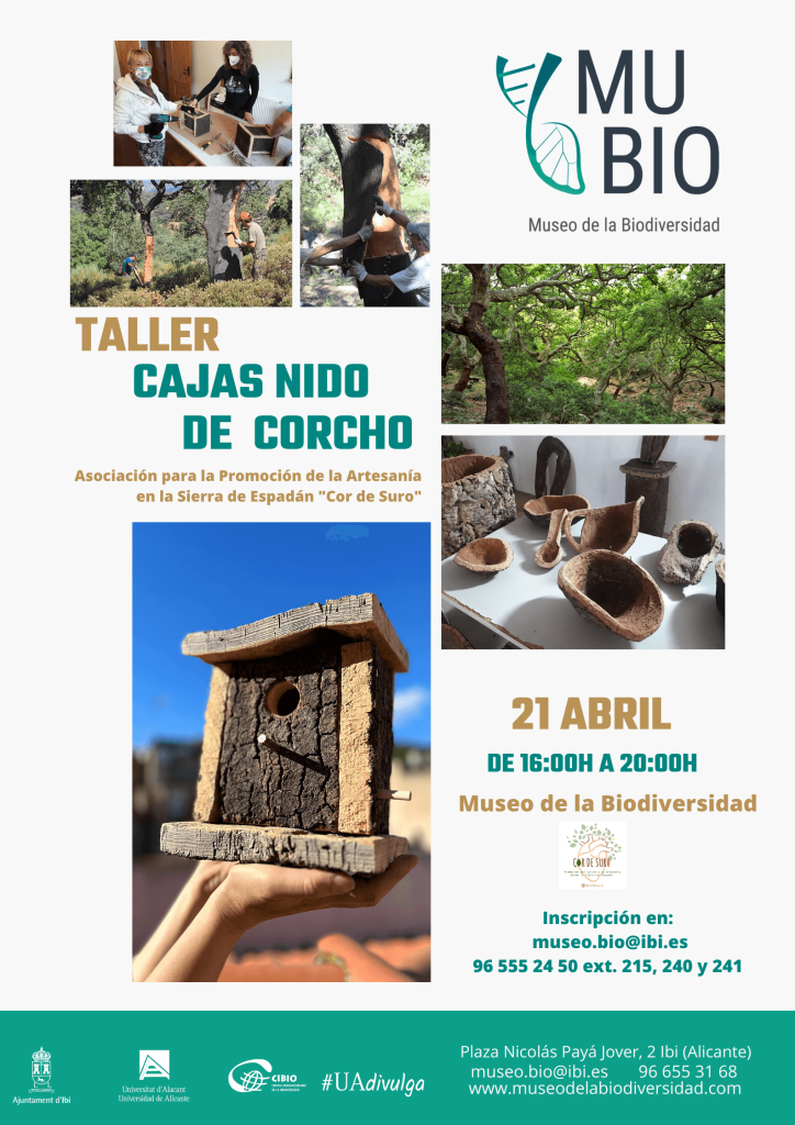 Cartel Taller "Caja Nido de Corcho"