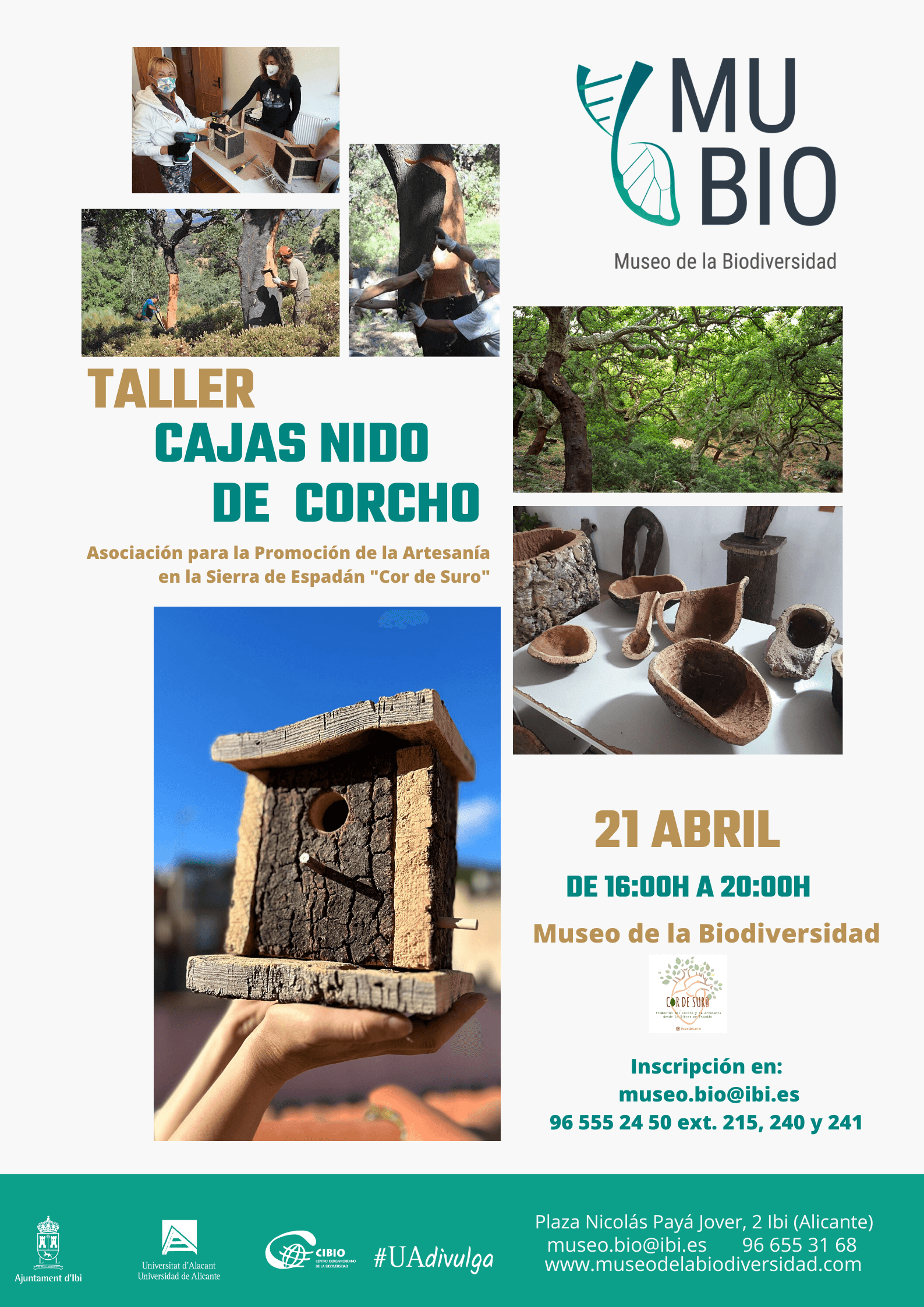 Cartel Taller "Caja Nido de Corcho"