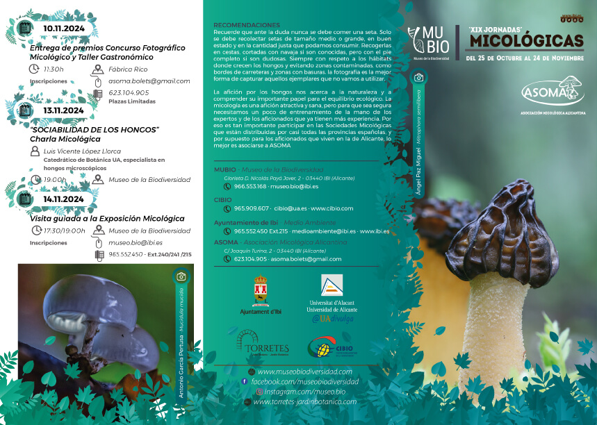 Jornadas micológiacas 2024